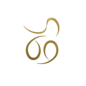 X^[g KN-17 VRlN^CJ[[ #17 X[NS[h | ދ ނ tBbVO