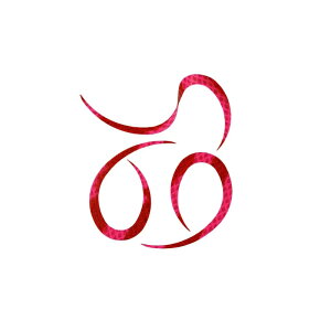 X^[g KN-21 VRlN^CJ[[ #21 V}bhSK | ދ ނ tBbVO