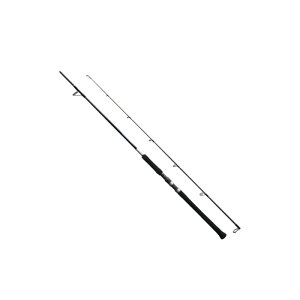 V}m 21 Obv[ BB ^CvC S73ML y^iz | ދ ނ tBbVO