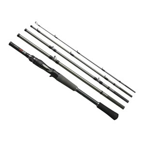 yubNtCf[ Ԓ Gg[P10{IzV}m 24 AtBbNX B66H-5 | ދ ނ tBbVO