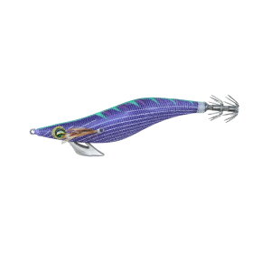 _C G_Xs[N TypeS RV 2.5 p[v-NCW[O[v | ދ ނ tBbVO