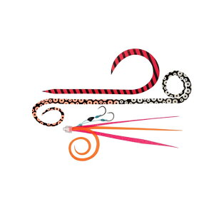 _C gւjbg  SS lN^CpbN A\[gA | ދ ނ tBbVO