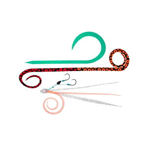 _C gւjbg  SS lN^CpbN A\[gD | ދ ނ tBbVO