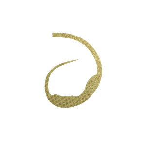 X^[g(START) VRlN^C }WJ[[ #17 X[NS[h /o[ lN^C rbOJ[[ ^Co ⃉o }_C | ދ ނ tBbVO