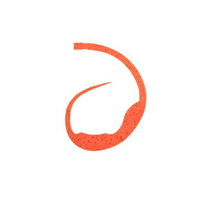 X^[g(START) VRlN^C }WJ[[ #18 o[~I /o[ lN^C rbOJ[[ ^Co ⃉o }_C | ދ ނ tBbVO