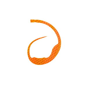 X^[g(START) VRlN^C }WJ[[ #20 V}ISK /o[ lN^C rbOJ[[ ^Co ⃉o }_C | ދ ނ tBbVO