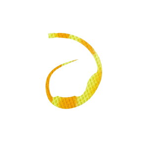 X^[g(START) VRlN^C }WJ[[ #27 V}Gr`[gSK /o[ lN^C rbOJ[[ ^Co ⃉o }_C | ދ ނ tBbVO