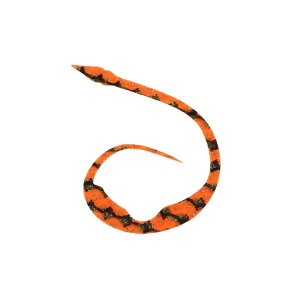 X^[g(START) VRlN^C }WJ[[Jr #03 IW[u /o[ lN^C rbOJ[[ ^Co ⃉o }_C | ދ ނ tBbVO