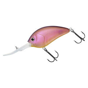 _C XeB[YNN 700 i΃KChXyV | ދ ނ tBbVO