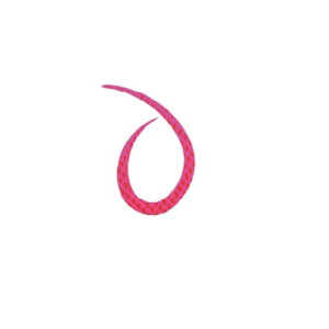 X^[g KN-26 VRlN^CJ[[ #26 sNSK | ދ ނ tBbVO