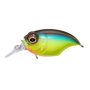 KoX SR-X OtH KoXu[ | ދ ނ tBbVO