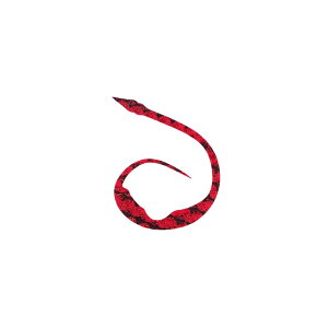 X^[g(START) VRlN^C }WJ[[Jr. #30 g[u /o[ lN^C rbOJ[[ ^Co ⃉o }_C | ދ ނ tBbVO