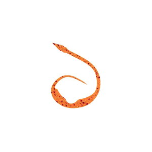 X^[g(START) VRlN^C }WJ[[Jr. #37 ԂԃIW /o[ lN^C rbOJ[[ ^Co ⃉o }_C | ދ ނ tBbVO