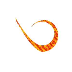 WbJ rrT+lN^C }X^[J[[ XgO Gr` | ދ ނ tBbVO