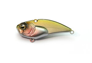 ChWp xoCuu[Xg 7g #025 xCgWp | ދ ނ tBbVO