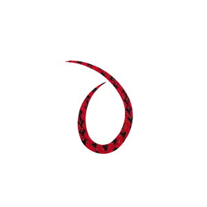 X^[g VRlN^C J[[ #30 g[u | ދ ނ tBbVO