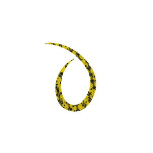 X^[g VRlN^C J[[ #32 CG[[u | ދ ނ tBbVO