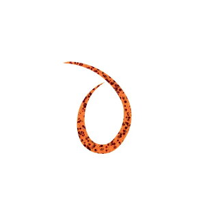 X^[g VRlN^C J[[ #37 ԂԃIW | ދ ނ tBbVO