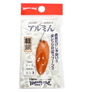 �E�H�[�^�[�����h �A���~�� 2.5g B13 �����K | �ދ� �ނ� �t�B�b�V���O