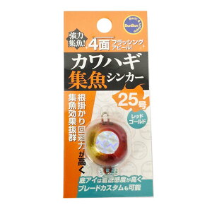 uuIWi JnMWVJ[ 25 bhS[h | ދ ނ tBbVO