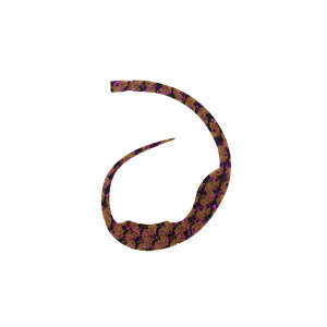 X^[g(START) VRlN^C }WJ[[ #35 ԃ[u /o[ lN^C rbOJ[[ ^Co ⃉o }_C | ދ ނ tBbVO