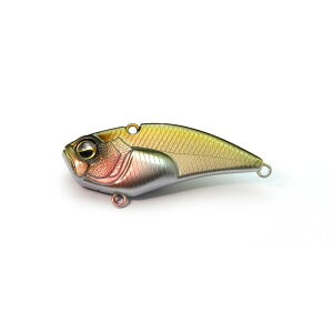 ChWp xoCuu[Xg 11g #025 xCgWp | ދ ނ tBbVO