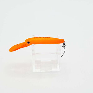 ディスプラウト イーグルプレーヤー40 スリムGJ 三ヶ日みかん | 釣具 釣り フィッシング