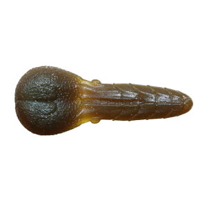 yubNtCf[ Ԓ Gg[P10{Izꐽ AKp` 2.4C` #69 NCVupvL | ދ ނ tBbVO