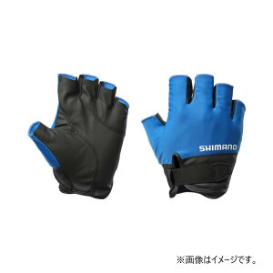 yubNtCf[ Ԓ Gg[P10{IzV}m GL-009Y 01x[VbNO[u 5{ M u[ | ދ ނ tBbVO