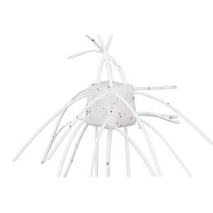 OSP �T�C�R�����o�[ �}�b�N�X�\���g 14mm SR06 �A�����J�V���q�g�� | �ދ� �ނ� �t�B�b�V���O
