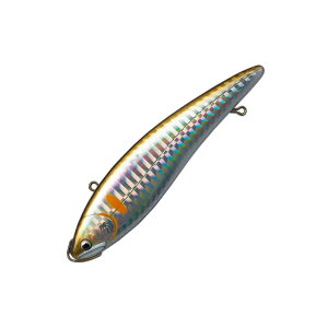 p[X EV100S1 GXP[hoCu 11g H51 XP[A | ދ ނ tBbVO