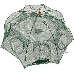 uuIWi(BunBun) L[ h[^ / ߂  ߊl  EiM AiS ^R Gr Jj | ދ ނ tBbVO