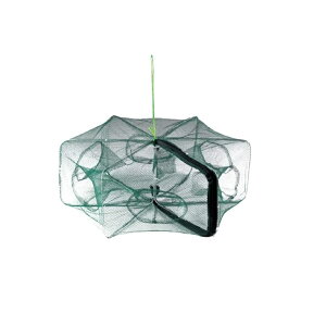 uuIWi(BunBun) L[ Zp^ / ߂  ߊl  EiM AiS ^R Gr Jj | ދ ނ tBbVO