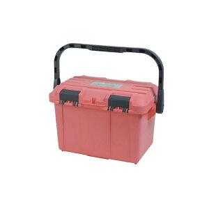 OX^[ D-4500PP hJbg s[`sN 2025J[ | ދ ނ tBbVO