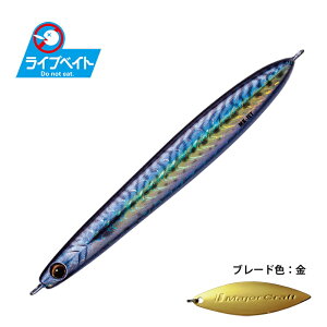 W[Ntg }LWO WFbg 30g CuxCgJ[ #85 CuTo(PC) | ދ ނ tBbVO