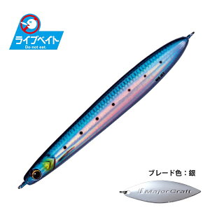 W[Ntg }LWO WFbg 40g CuxCgJ[ #80 CuCV(PC) | ދ ނ tBbVO