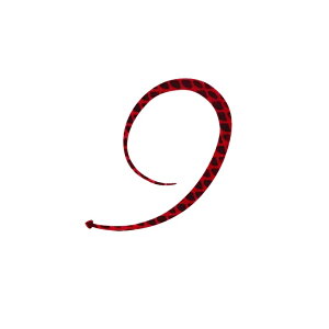 nuT t[XCh JX^VRlN^C oL[J[[VO 9 rJrJbh | ދ ނ tBbVO