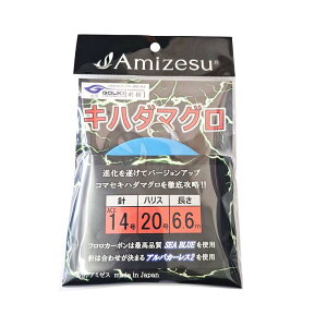 A~[X Ln_}Od| 20 6.6m ACII 14 | ދ ނ tBbVO