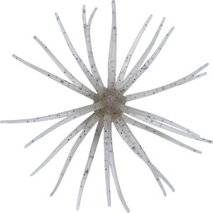 nChAbv RCP \tg}eA #242 Gr_bs | ދ ނ tBbVO