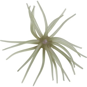 ハイドアップ 旧コイケ ソフトマテリアル #267 クリアーワカサギ | 釣具 釣り フィッシング