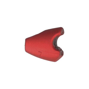 _C ʃVJ[2 7g bh / ދ ނ tBbVO