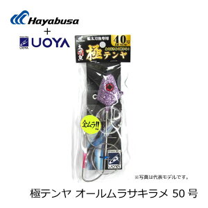 nuT Ƀe I[TL 50 | ދ ނ tBbVO