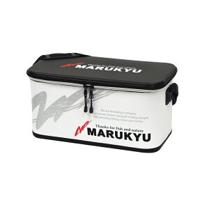 }L[ MQ-01 hCobO TYPE-P zCg | ދ ނ tBbVO