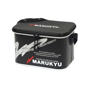 }L[ MQ-02 hCobO TYPE-P ubN | ދ ނ tBbVO