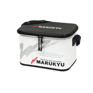 }L[ MQ-02 hCobO TYPE-P zCg | ދ ނ tBbVO