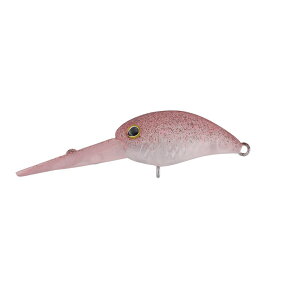 eB pjN´DDR V{NbhO[ / ދ ނ tBbVO