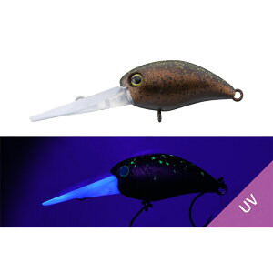 eB pjN´DDR W[{Y / ދ ނ tBbVO