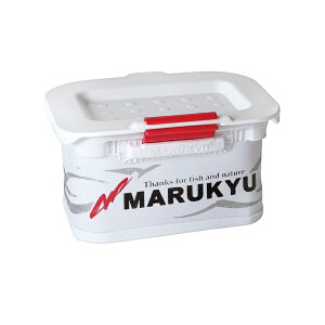 }L[ p[GToPbg 11TRIV zCg / ދ ނ tBbVO