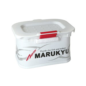 }L[ p[GToPbg 13TRIV zCg / ދ ނ tBbVO