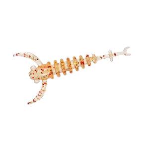 _C lu[Lr[ 1.3C` A~IW | ދ ނ tBbVO